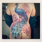 tatuagem de pavão