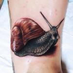 tatuagem de caracol
