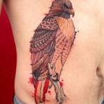 significado da tatuagem de falcão